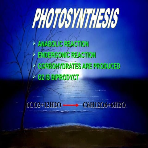 Photosynthes