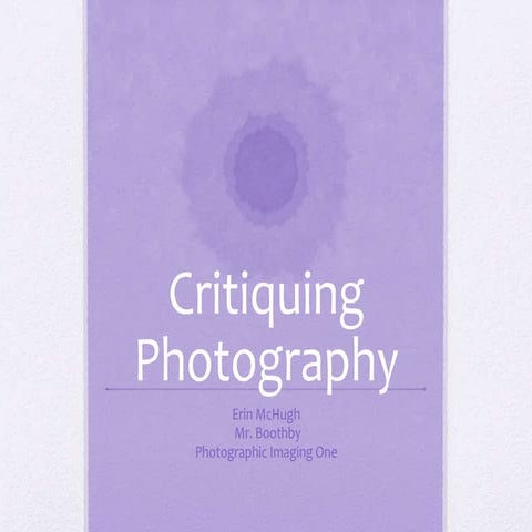 Photo Critiquing Erin McHugh
