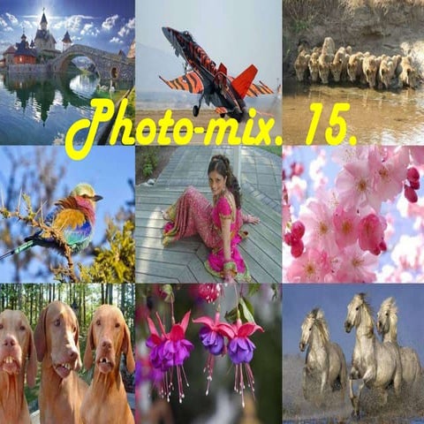 .★.*. BEAUTIFUL PICTURES .★.*.