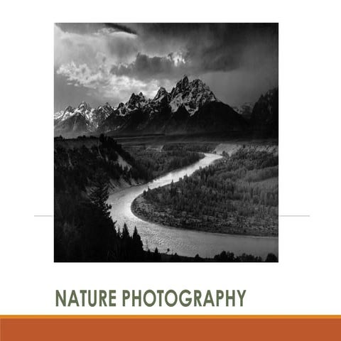 best nature photography in rohini