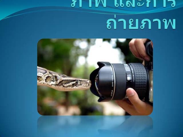 Photo and photo