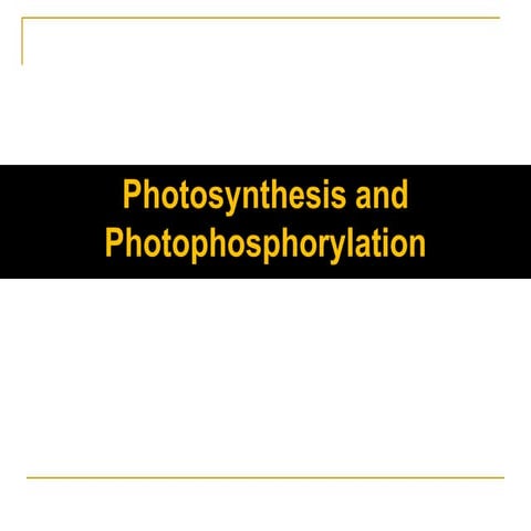Photoautotrophs: Harnessing Light for Life