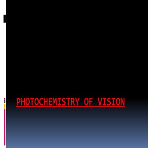 Photochemistry of vision