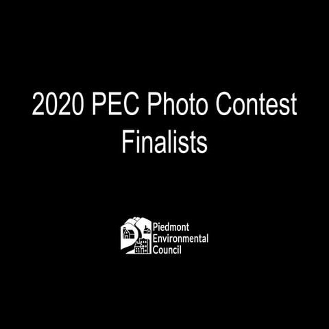 PEC Photo Contest Finalists 2020