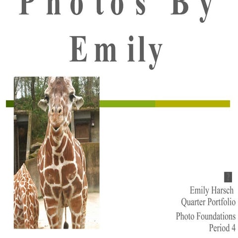 Photo Final Portfolio