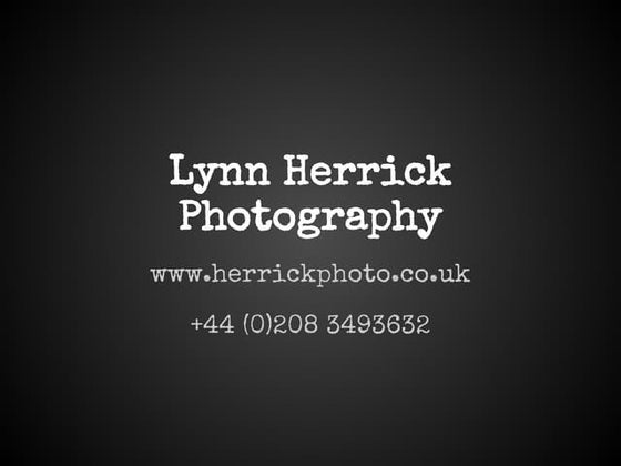 Photography by Lynn Herrick