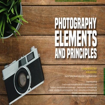 Photography Composition Elements & Principles 