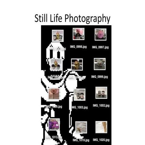 Photography Final - Still Life | PDF