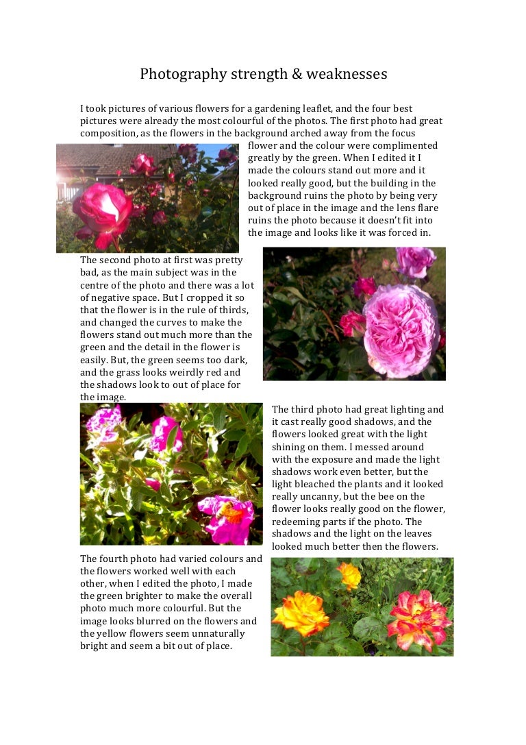 Photography evaluation