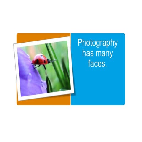 Photography has many faces