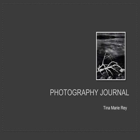 Photography Journal