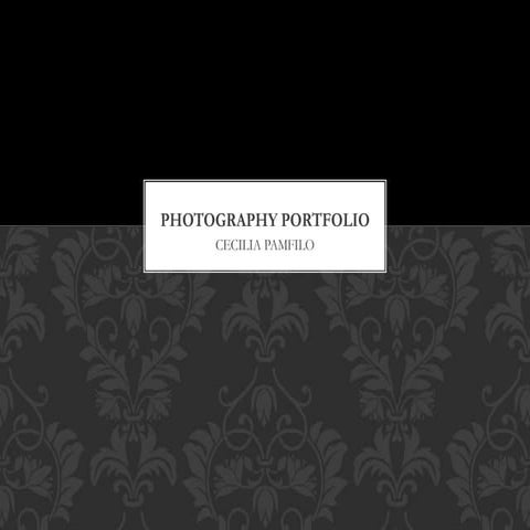 Photography portfolio