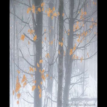 Photo of The Day from Outdoor Photographer