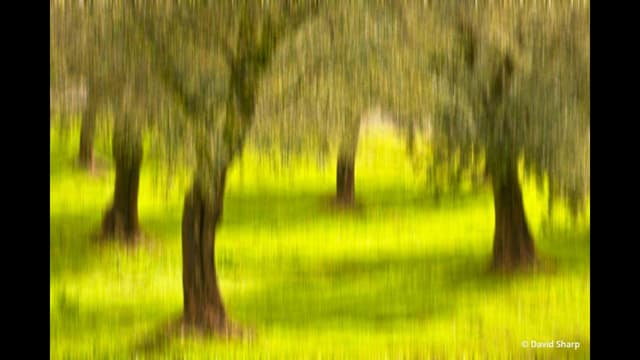 Photo of The Day from Outdoor Photo...