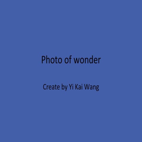 Windows of wonder | PPS