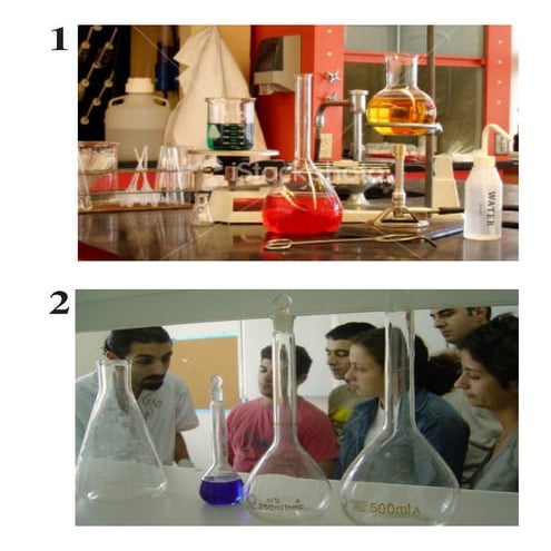 Photo Rules! - accompanying worksheet