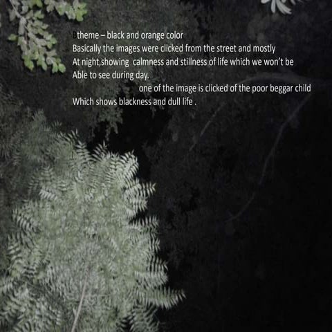 Photo reflective writing 1526