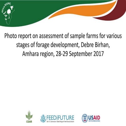 Photo report on assessment of sample farms for various stages of forage devel...