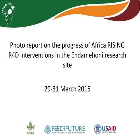 Photo report on the progress of Africa RISING   R4D interventions in the Enda...