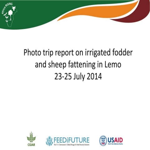 Photo trip report on irrigated fodder and sheep fattening in Lemo woreda, 23-...