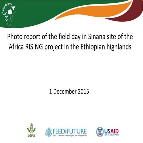 Photo report of the field day in Sinana site of the Africa RISING project in ...