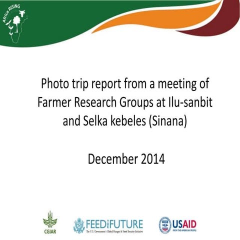 Photo trip report from a meeting of Farmer Research Groups at Ilu-sanbit and ...