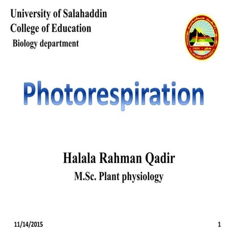 Photorespiration
