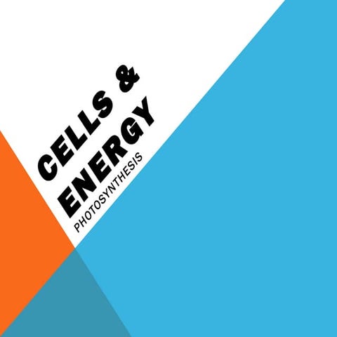 Photo  respiration (1)