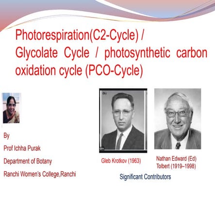PHOTORESPIRATION(C2 cycle)/Glycolate Cycle/PCO Cycle