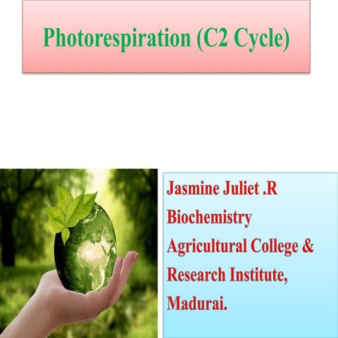 Photorespiration c2 cycle