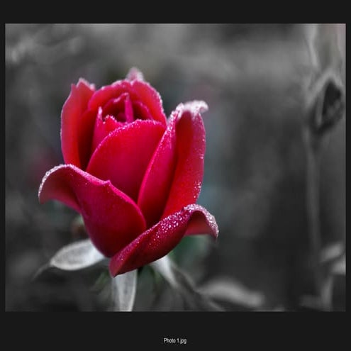 Photoshop exercise 1