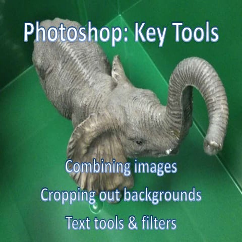 Photoshop starter elephant compressed