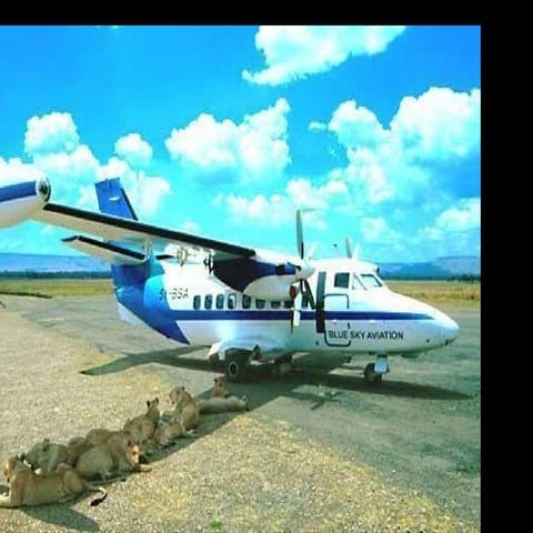 Les 37 situations insolites.