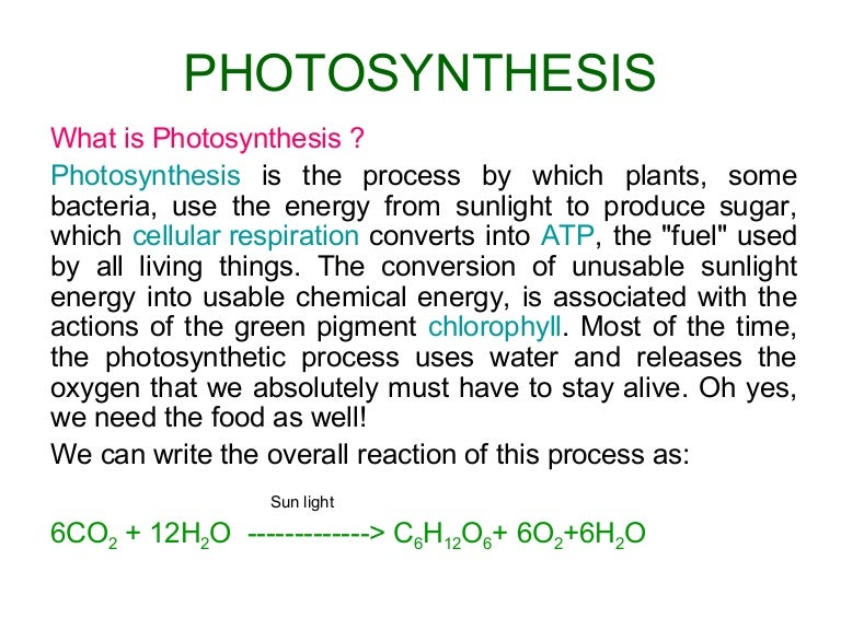 Photosynthesis