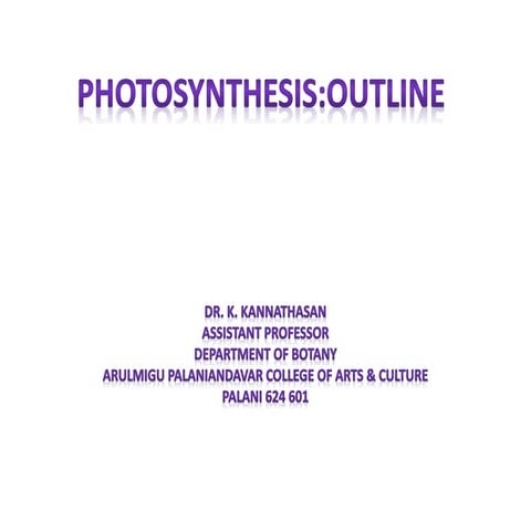 Photosyntheis outline