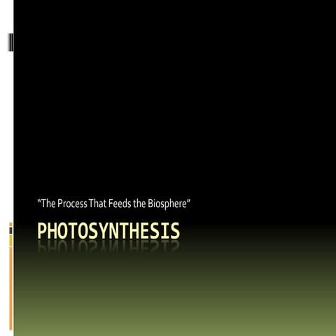 AP Biology - Photosynthesis (Part 1 | PPT