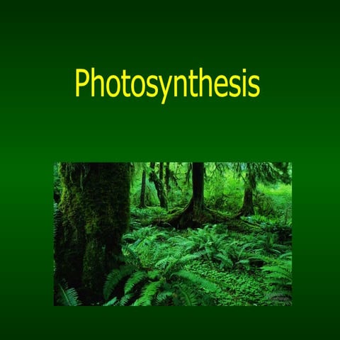 Photosynthesis