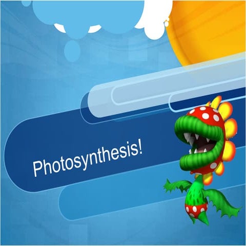 Photosynthesis