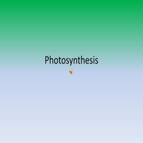 Photosynthesis Part 2