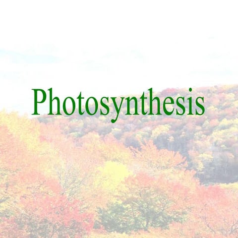 Photosynthesis 100503122339-phpapp01
