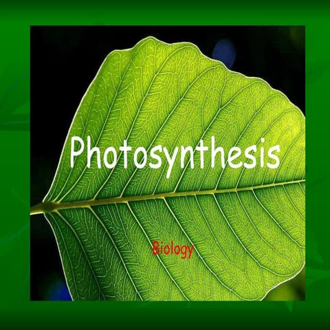 Photosynthesis