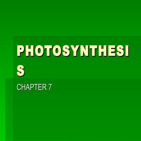 Photosynthesis