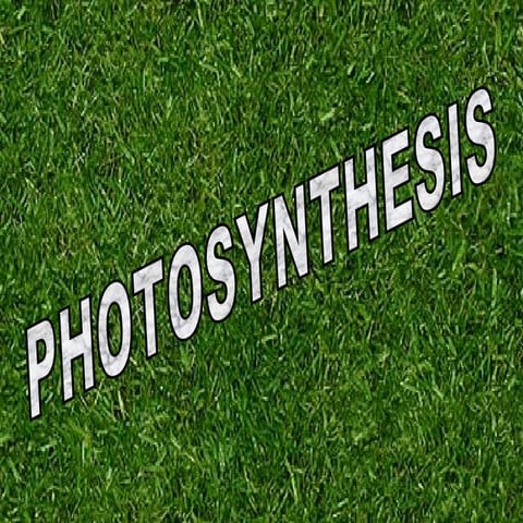 Photosynthesis Pres