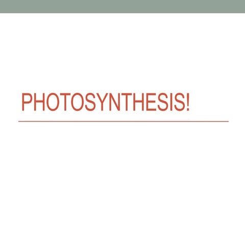 Photosynthesis