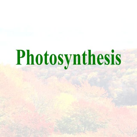 Photosynthesis