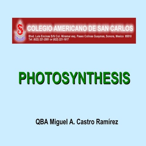 PHOTOSYNTHESIS