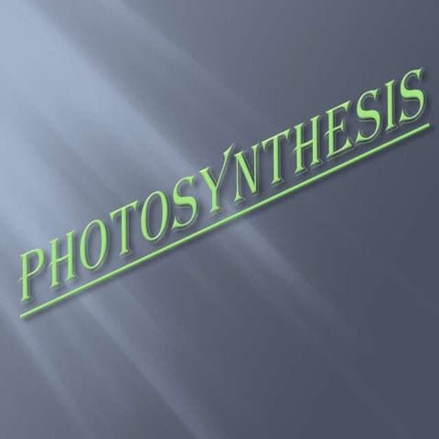 Photosynthesis
