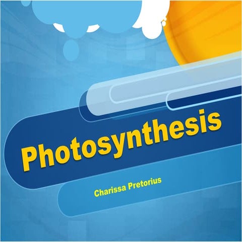 Photosynthesis