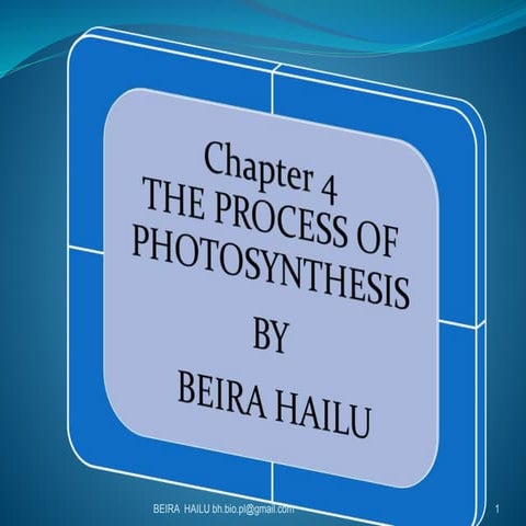 The process of photosynthesis