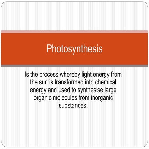 Photosynthesis